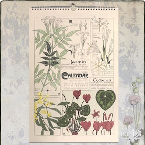 2025-2026 Botanical Calendar : Art Nouveau Floral Wall Planner, Verneuil Illustrations (A3/Tabloid Size) 0050108-NA
