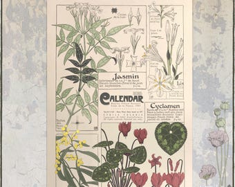 2026-2027 Botanical Calendar : Art Nouveau Floral Wall Planner, Verneuil Illustrations (A3/Tabloid Size) 0050108-NY