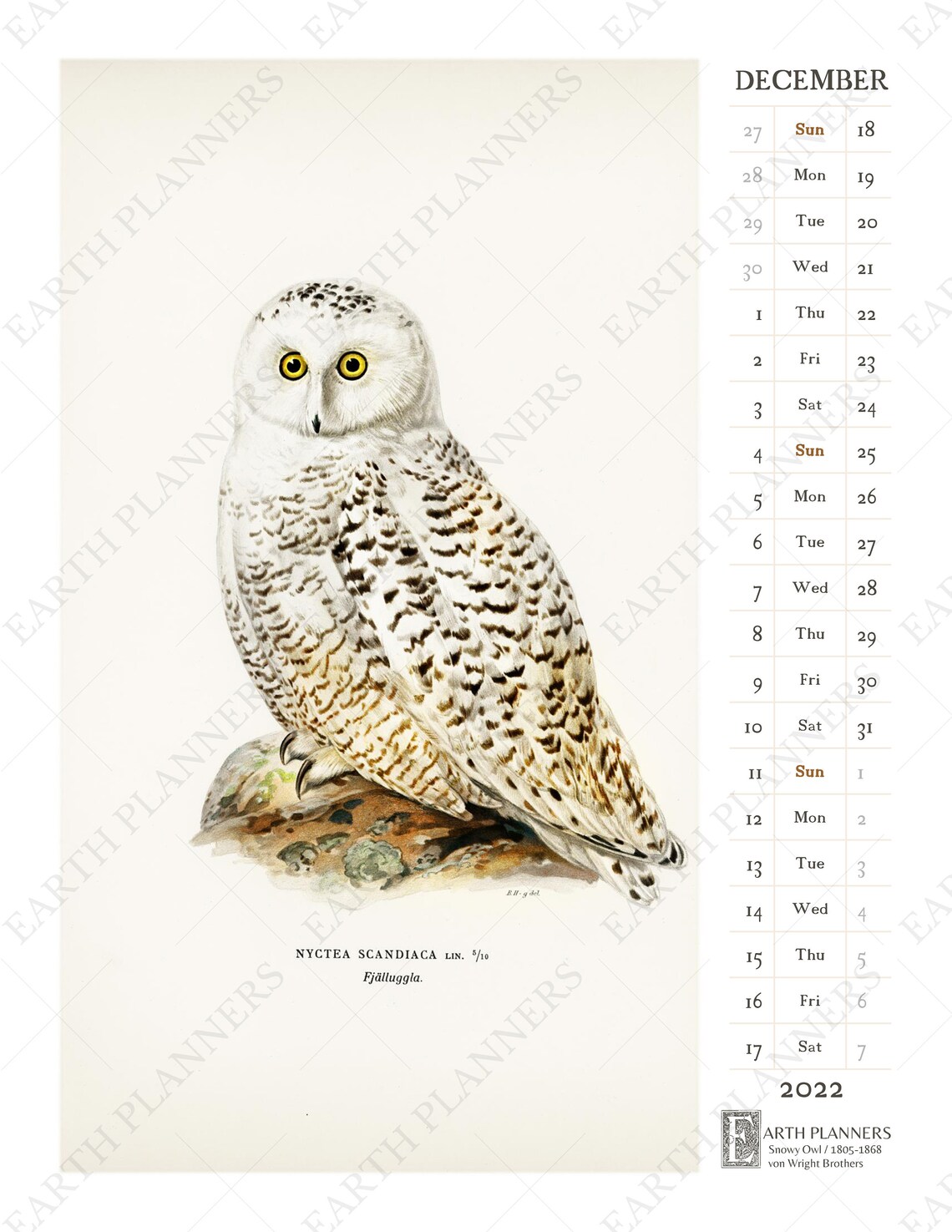 Owl Calendar 2022 Printable / Monthly Wall Calendar Antique | Etsy