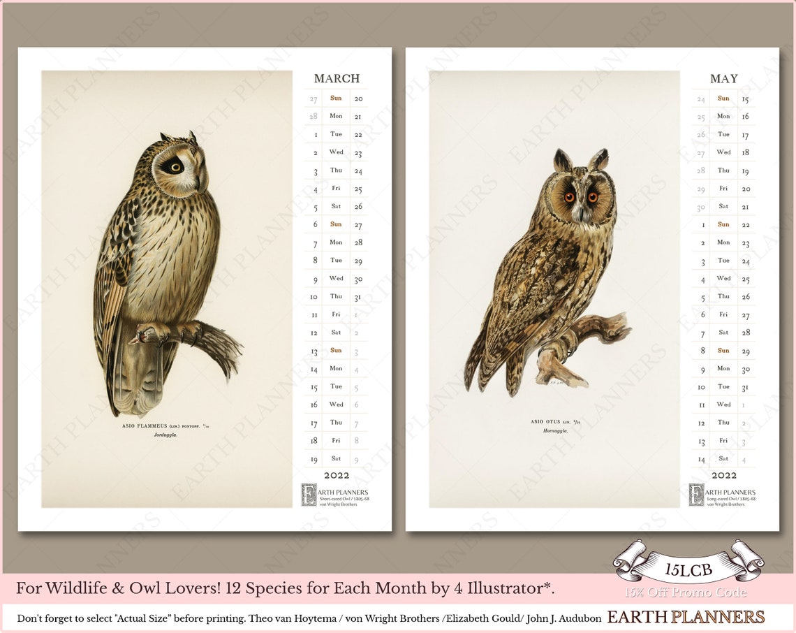 Owl Calendar 2022 Printable / Monthly Wall Calendar Antique | Etsy