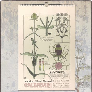 Calendario botanico 2025. Illustrazioni di piante Art Nouveau del 1900 di Maurice P. Verneuil. Calendario floreale mensile da parete - A3, formato tabloid