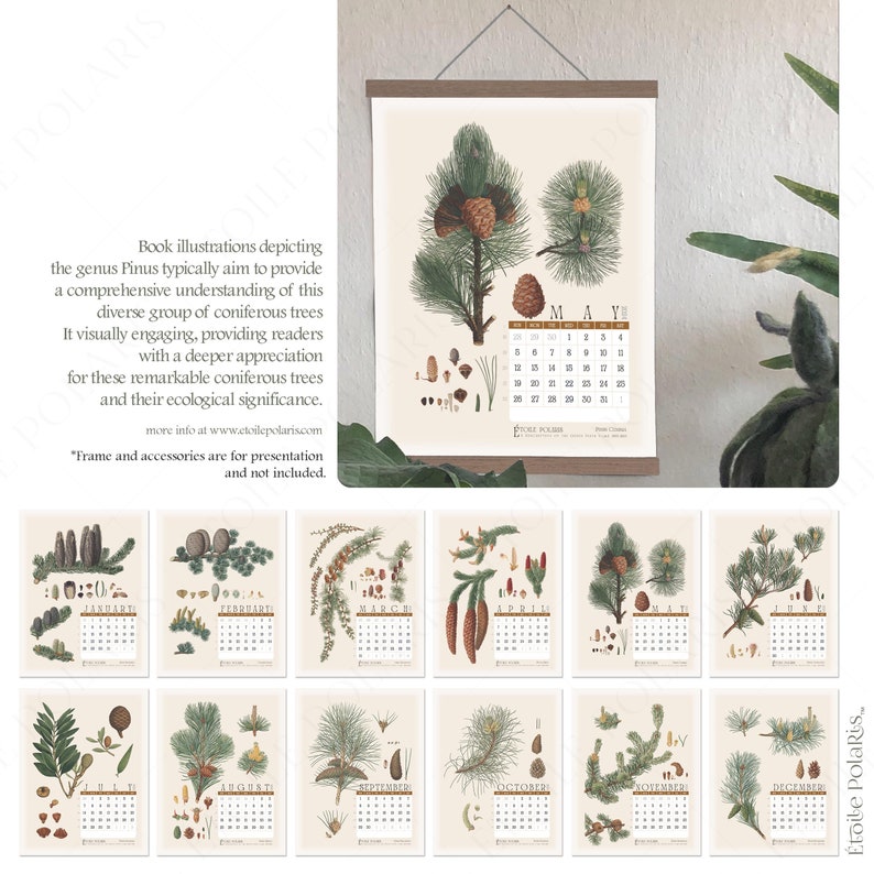 Printable 2024 Calendar / Antique Botanical Pine Illustrations Etsy