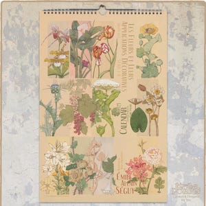 Calendario botanico 2025. Illustrazioni di piante in stile Art Nouveau del 1900 di Émile-Allain Séguy. Agenda mensile floreale da parete - A3, Tabloid