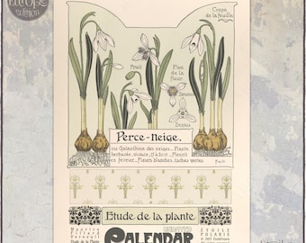 Eeuwigdurende art nouveau-verjaardagskalender: bloemenplanner zonder datum, illustraties Verneuil 1050110-EU