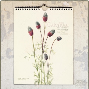 2026 Botanical Wall Calendar : Mary Vaux Walcott Wildflower Art, A4/Letter Size 0020401-NY