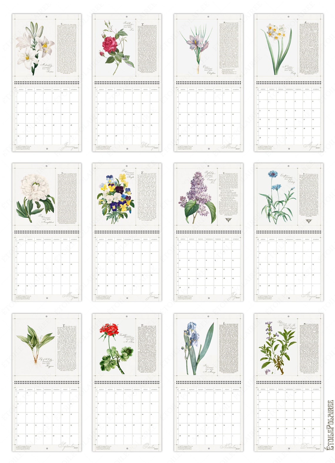 Floral Wall Calendar 2023 Floriography Language of Flowers / Etsy