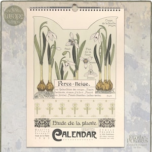 Pode incluir: Um calendário de parede com uma ilustração botânica de flores de neve com bulbos e raízes. A página cor de creme inclui etiquetas em francês como Perce-neige, Etude de la plante e diagramas detalhados das partes da planta em verde e castanho.