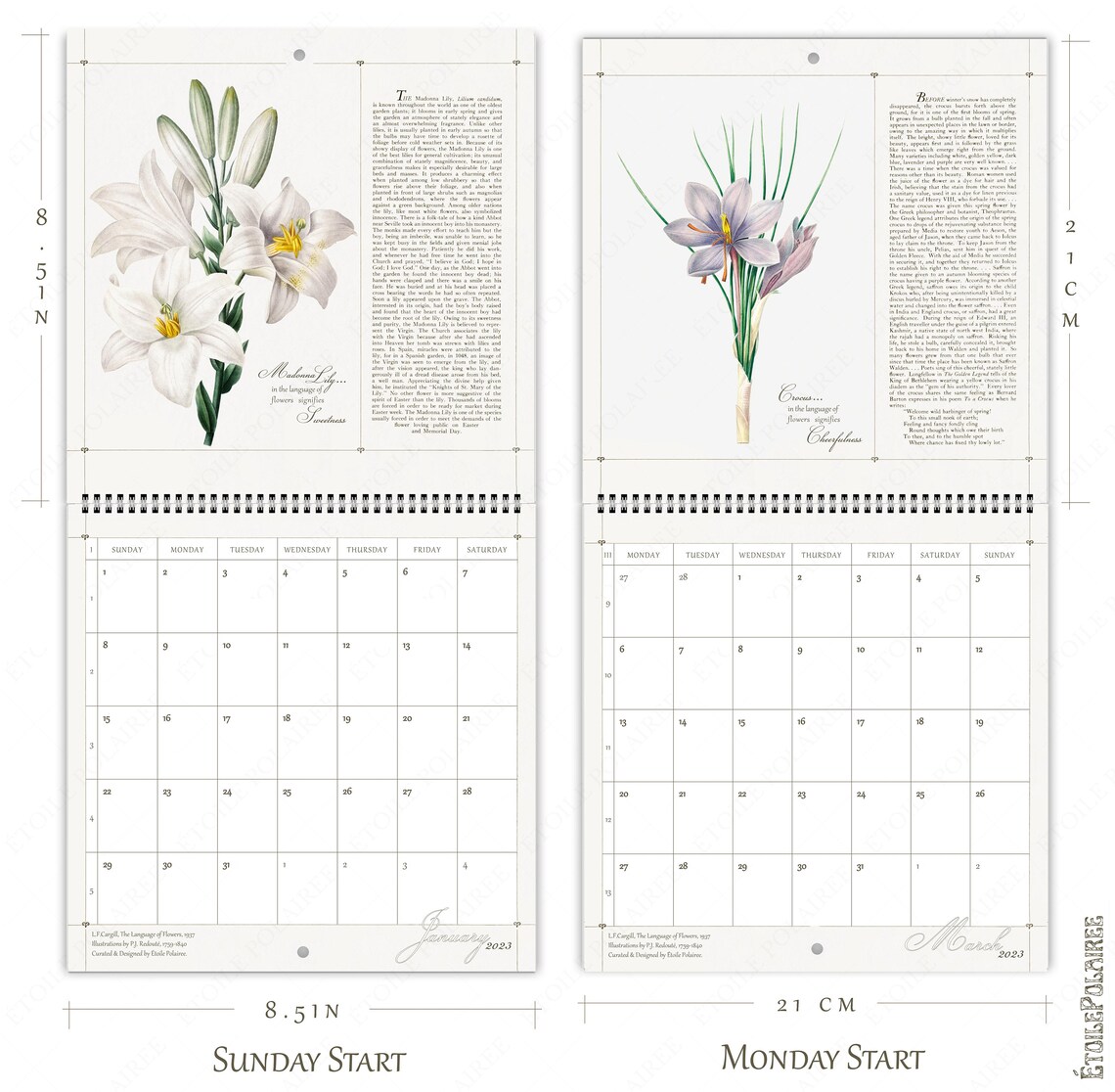 Floral Wall Calendar 2023 Floriography Language of Flowers / Etsy