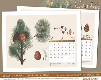 Botanical Calendar 2023 -Printable / Antique Pine Illustrations - Pine Branches, Cones...  Horizontal Monthly Wall Calendar w/ Week Numbers