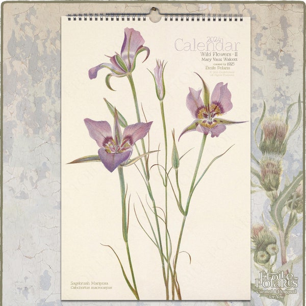 2024 Botanischer Kalender, Wildblumen Zeichnungen von Mary Vaux Walcott / Wandkalender Monat A3, Tabloid Format