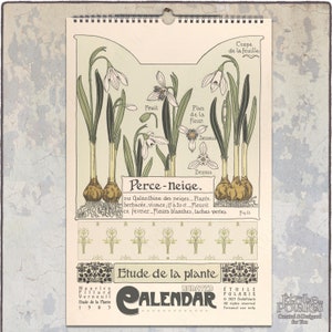 Calendario perpetuo di compleanno per anniversario, date di celebrazione/planner floreale senza data, illustrazioni di piante Art Nouveau, Maurice P. Verneuil