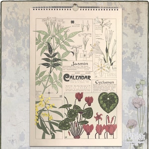 Calendario botanico 2025 2026. Illustrazioni di piante Art Nouveau anni '900 di Maurice P. Verneuil. Planner floreale mensile da parete - Metà anno A3, Tabloid
