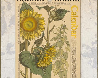 May include: A 2027 wall calendar featuring a botanical illustration of sunflowers with yellow petals and green leaves on a cream background. The text reads LA PLANTE ET SES APPLICATIONS ORNEMENTALES, CALENDAR 2027, SUNFLOWER, SOLEIL, DIE SONNENBLUME.