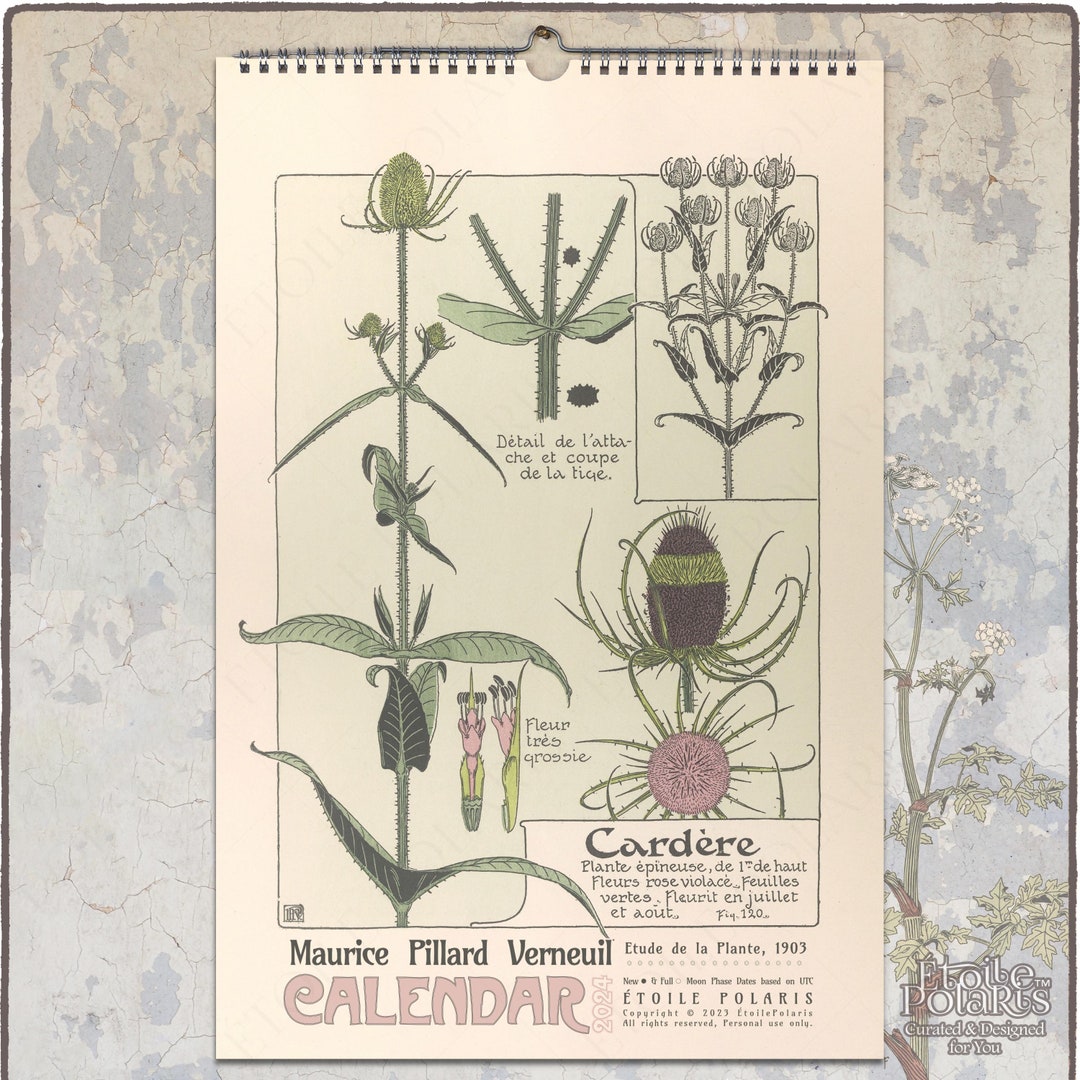 2024-botanical-calendar-1900s-art-nouveau-plant-illustrations-by