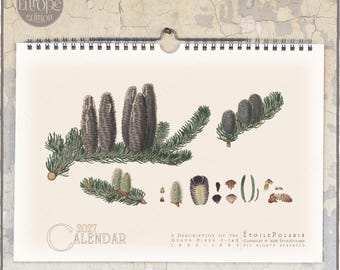 Può includere: Un calendario da parete per il 2027 con illustrazioni botaniche di pigne e rami sempreverdi. La pagina color crema mostra disegni dettagliati di varie parti di conifere, inclusi aghi e semi, con il testo 'A DESCRIPTION OF THE GENUS PINUS' e 'ÉTOILE POLARIS' stampato in basso.
