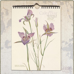 May include: A 2027 wall calendar featuring a botanical illustration of purple Sagebrush Mariposa flowers. The text reads 2027 Calendar, Wild Flowers-II, Mary Vaux Walcott, curated by 1925 Etoile Polaris, and Sagebrush Mariposa Calochortus macrocarpus.