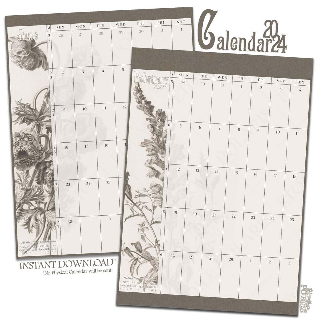 Printable 2024 Calendar / Monochrome Floral Illustrations / - Etsy ...