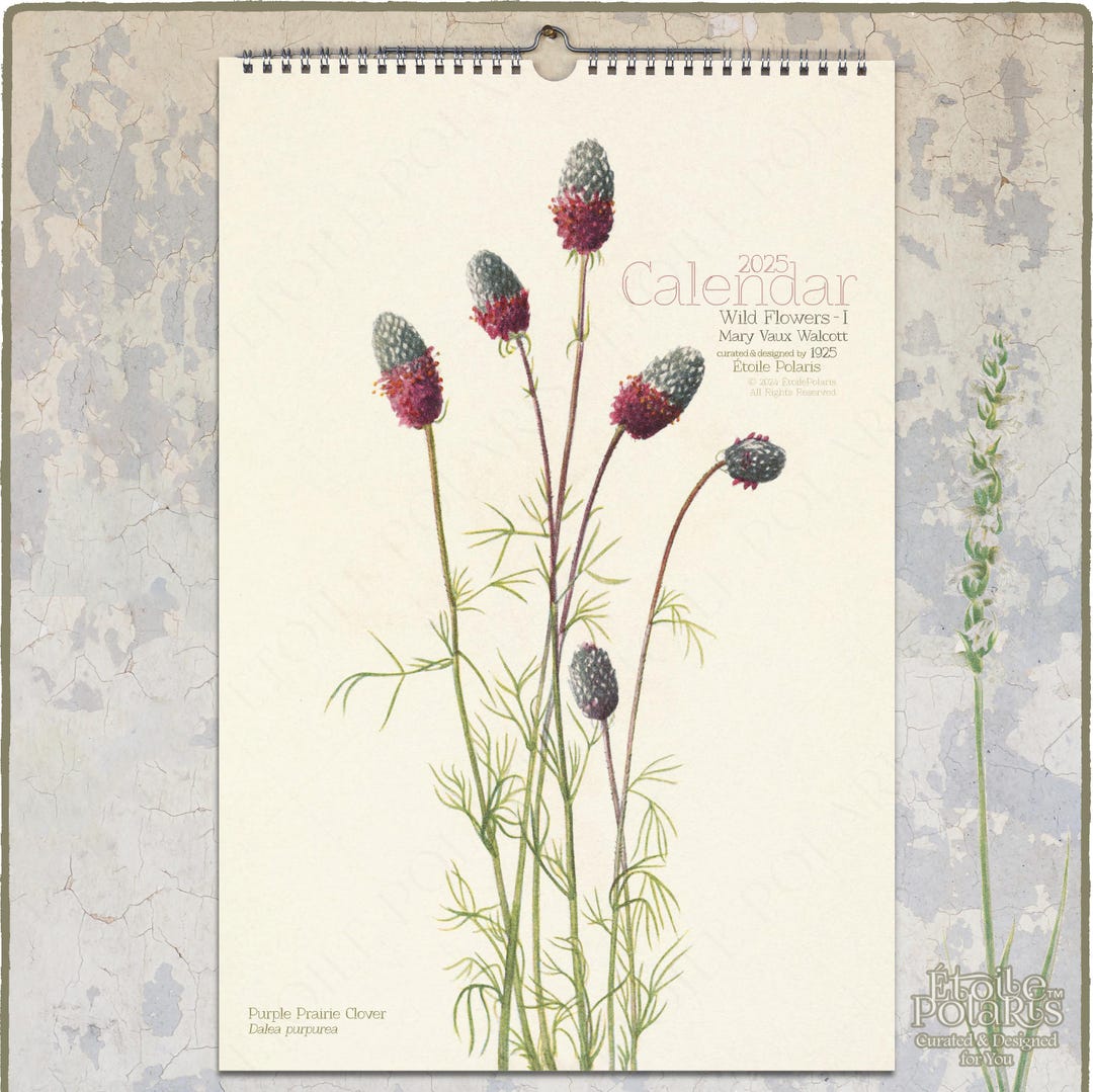 Botanical Calendar 2025, Wildflower Drawings by Mary Vaux Walcott ...