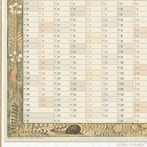 May include: A 2026 wall calendar featuring a grid layout with a cream background. The left border displays a vertical botanical illustration of white flowers and green foliage. A snail is illustrated along the bottom border. Text includes Etoile Polaris.