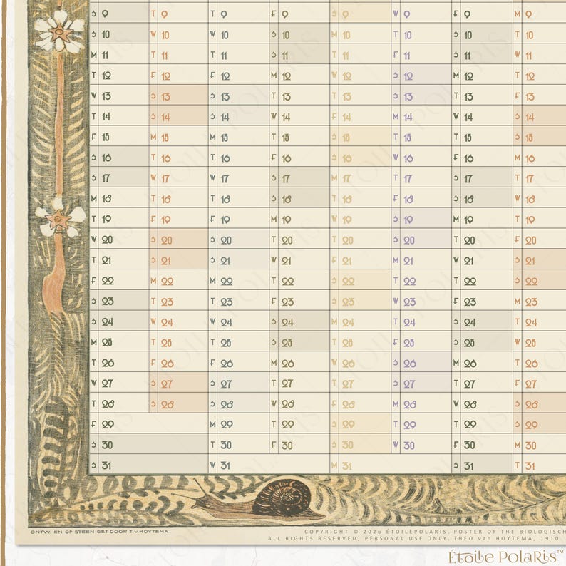 May include: A 2026 wall calendar featuring a grid layout with a cream background. The left border displays a vertical botanical illustration of white flowers and green foliage. A snail is illustrated along the bottom border. Text includes Etoile Polaris.