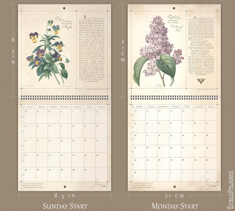 Wall Calendar 2024 Floral Art Floriography Language of Etsy