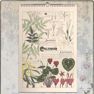 2024 Botanical Calendar. 1900s Art Nouveau Plant Illustrations by Maurice P. Verneuil. Floral Monthly Wall Planner- A3, Tabloid Size