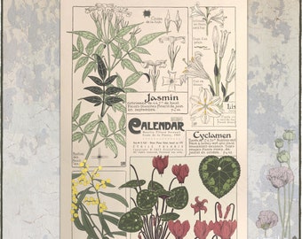 Calendrier botanique 2024. Illustrations végétales Art nouveau des années 1900 par Maurice P. Verneuil. Agenda mural mensuel floral - A3, format tabloïd