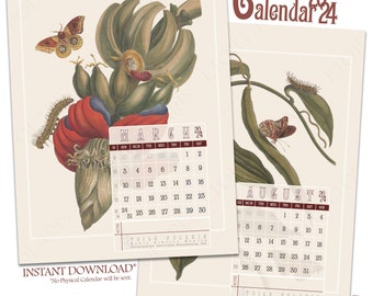 Calendario de polillas imprimible 2024 - Metamorfosis de polillas y mariposas por Maria Sibylla Merian, 1705 - Calendario de pared mensual con números de semana