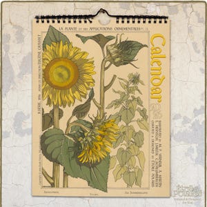 2026 Botanical Calendar : Verneuil Art Nouveau Plant Illustrations 0020103-NY