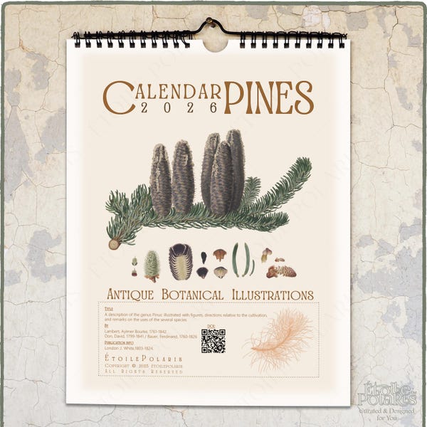 2026 Botanical Calendar - Antique Pine Illustrations / Monthly Wall Calendar w/ week Numbers 0020404-NY