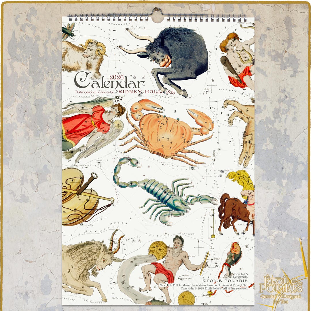2026 Astrology Calendar : Zodiac Signs, Celestial Art Wall Planner ...