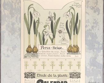 Art Nouveau Perpetual Birthday Calendar : Floral Anniversary Planner, Verneuil Illustrations 1050110-NY