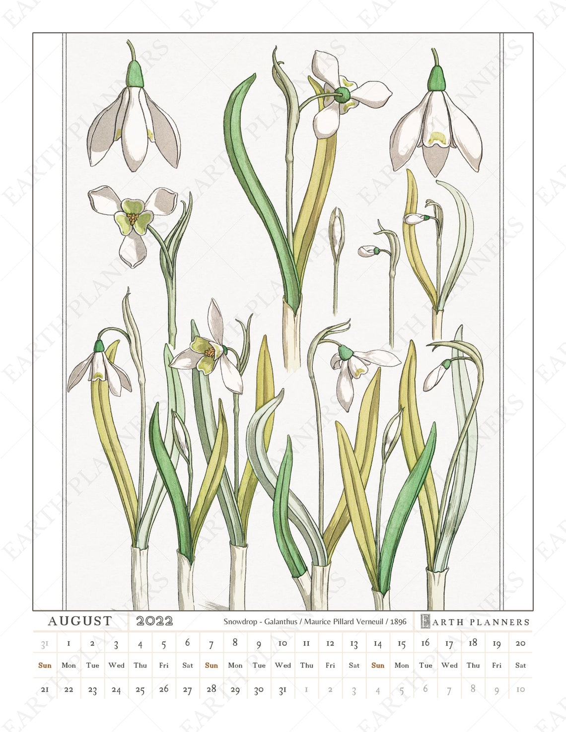 Botanical Wall Calendar 2022 Printable Antique Flower Etsy