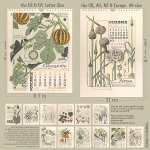 2024 Botanical Calendar Art Nouveau Plant Illustrations by Maurice P. Verneuil, 1903 Floral Monthly Wall Calendar A4, Letter Size image 2
