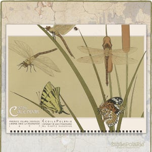 2026 Art Nouveau Animals Wall Calendar : Verneuil Illustrations, A3/Tabloid Size 0030001-NY