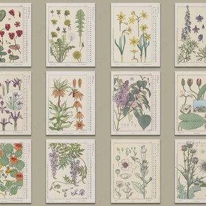 Flower Calendar 2023 Printable / Digital Monthly Wall - Etsy
