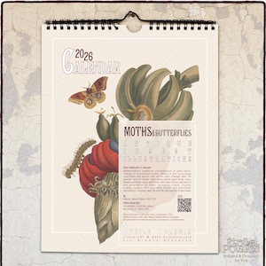2026 Moth & Butterfly Wall Calendar : Maria Sibylla Merian Illustrations, A4/Letter Size 0020407-NY