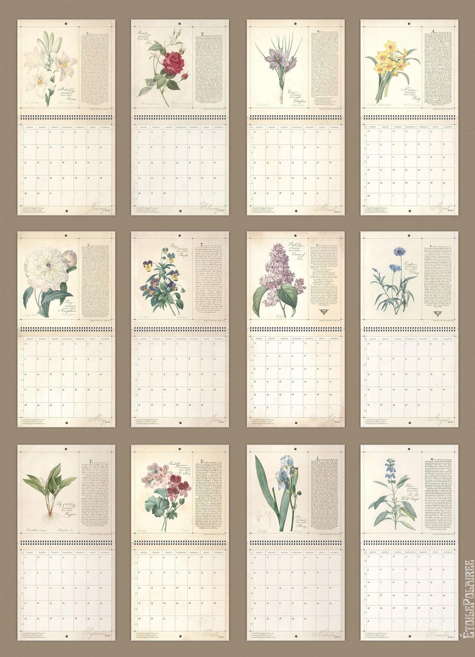 Wall Calendar 2024 Floral Art Floriography Language of Etsy