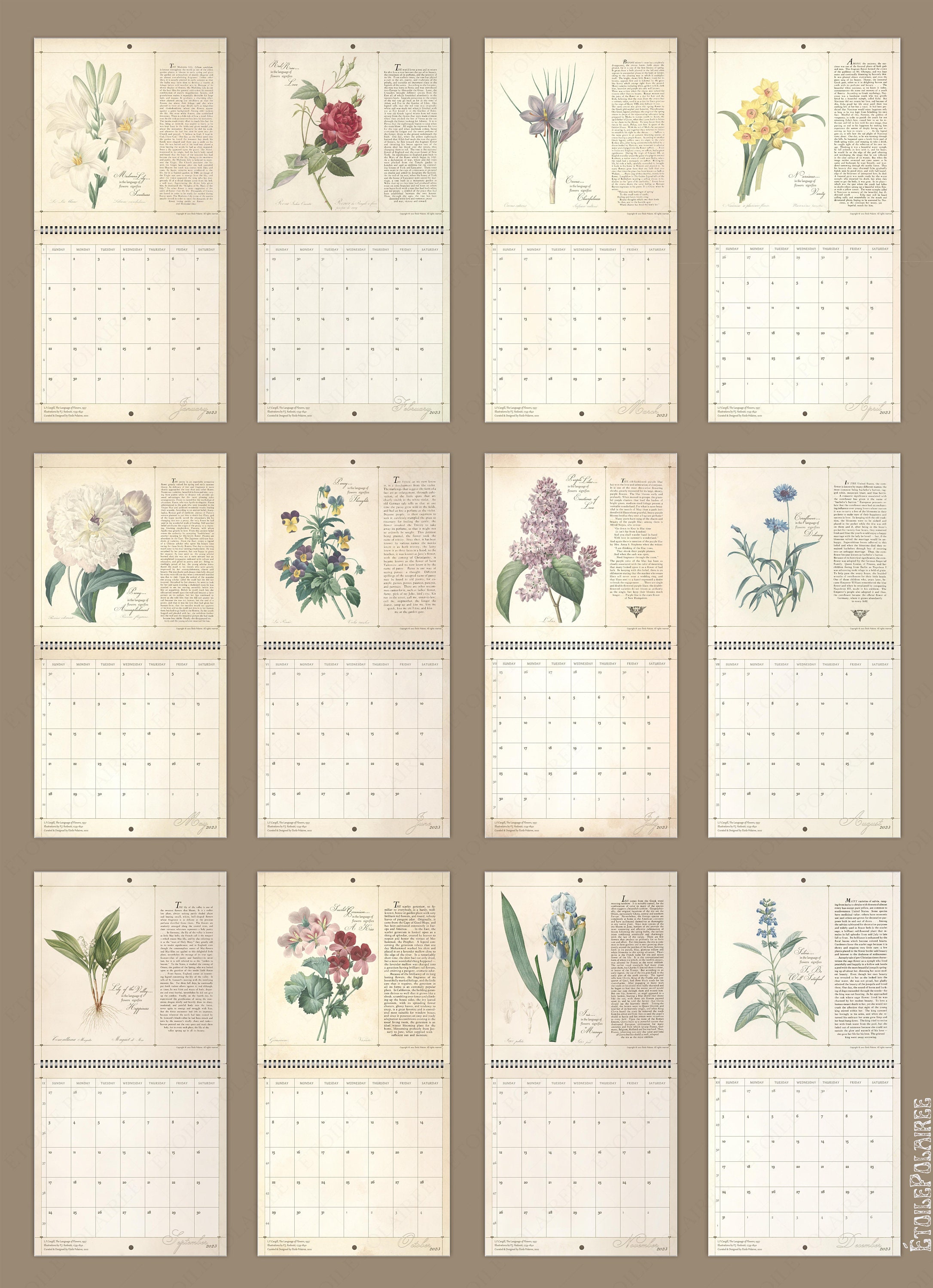 Wall Calendar 2024 Floral Art Floriography Language of Etsy