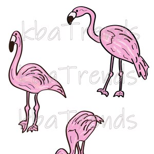 Flamingos 8x10, 6x6 Art; PNG, JPG Digital Downloads; Pink Flamingo Clip Art; Whimsical Pink Flamingos; Hippy Pink Flamingos