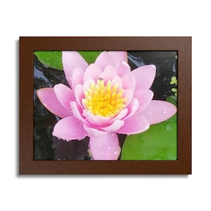 Framed Water Lily Art Print for Home Office, Pond Plant Home Decor, Botanical Flower Wall Decor, Boho Garden Enthusiast, Pink Pond Flower