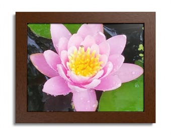 Lámina artística enmarcada de nenúfar para oficina en casa, decoración de estanque, decoración de pared con flores botánicas, ideal para amantes de la jardinería bohemia, flor de estanque rosa.