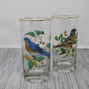 Vintage West Virginia Glass Songbirds Highball Glass Set of 2 - Baltimore Oriole and Blue Bird - West Virginia Glass Songbird Tumbler Pair