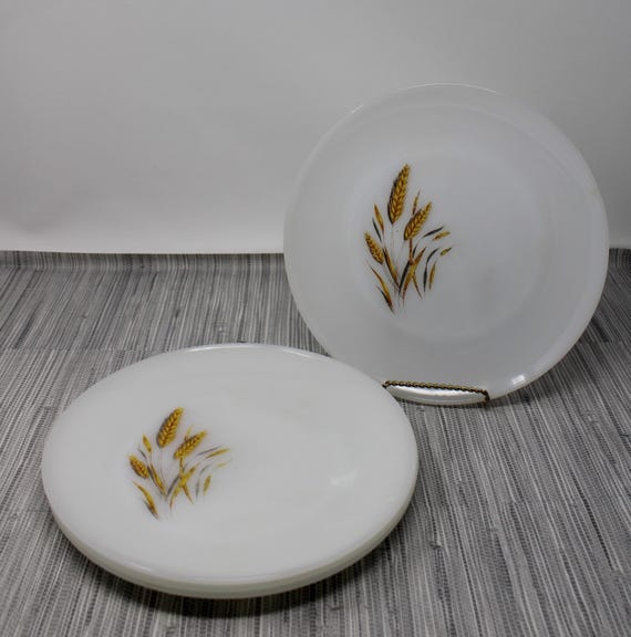 Vintage Fire King Golden Wheat Milk Glass Dinner Plates - Set of 4