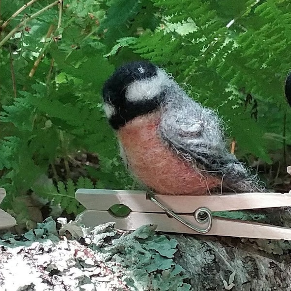 Felted Chickadee! Realistic life size wool songbird on wood clothespin. Cheerful happy backyard bird clips anywhere!