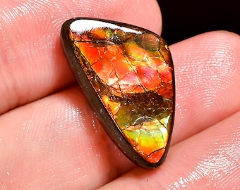 Marvellous Ammolite Top Grade Quality 100% Natural Ammolite Fancy Shape Cabochon Loose Gemstone For Making Jewelry 12 Ct. 21X12X5 mm H-10148