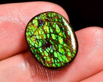 Genuine Ammolite Top Grade Quality 100% Natural Ammolite Oval Shape Cabochon Loose Gemstone For Making Jewelry 10.5 Ct. 16X12X5 mm H-10149