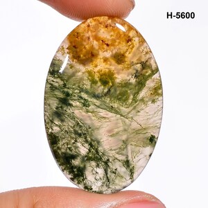 May include: An oval-shaped gemstone with a unique pattern. The top portion is a mix of yellow and brown, transitioning to green and white with intricate, vein-like patterns. The text "H-5600" is visible in the upper right corner.
