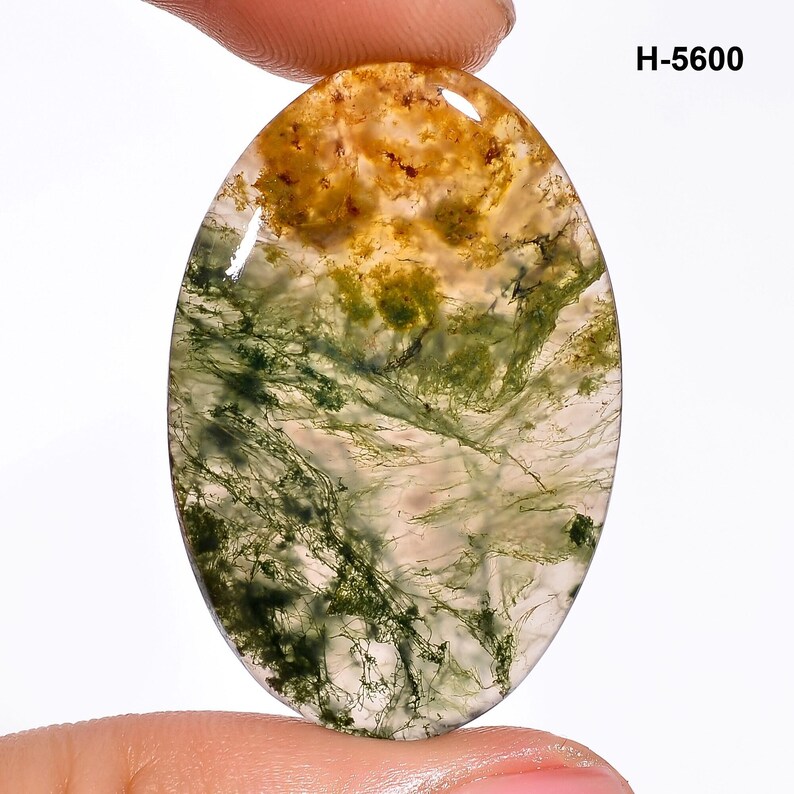 May include: An oval-shaped gemstone with a unique pattern. The top portion is a mix of yellow and brown, transitioning to green and white with intricate, vein-like patterns. The text "H-5600" is visible in the upper right corner.