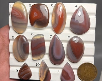 Könnte beinhalten: Elf polierte Achat-Edelsteine in verschiedenen Formen und Farben, darunter ovale, tropfenförmige und unregelmäßige Formen. Die Steine zeigen Bänder in Rot, Braun, Grau und Creme. Eine Goldmünze dient als Größenreferenz. Die Edelsteine werden auf einer weißen Oberfläche präsentiert.